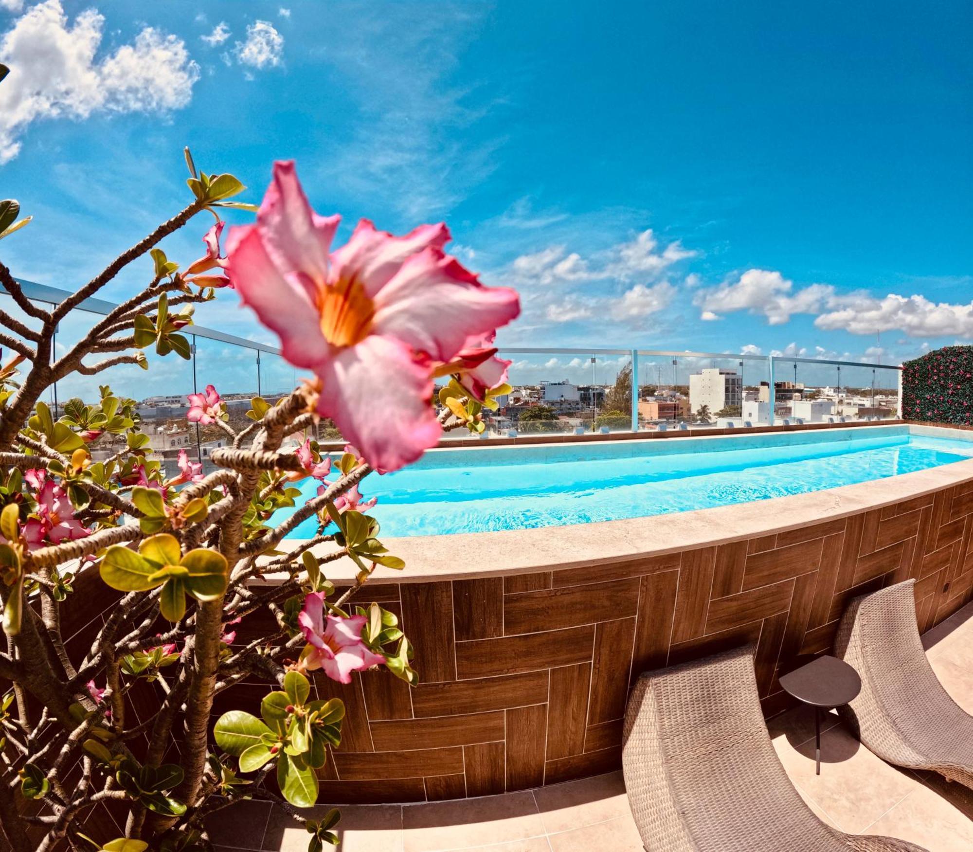 Studios With Roofpool In Vanessa 24 Playa del Carmen Bagian luar foto